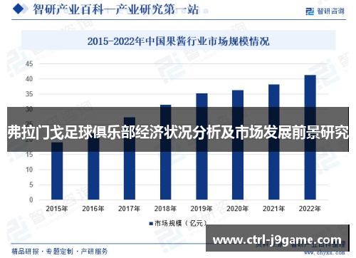 弗拉门戈足球俱乐部经济状况分析及市场发展前景研究