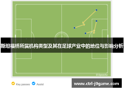 斯坦福桥所属机构类型及其在足球产业中的地位与影响分析