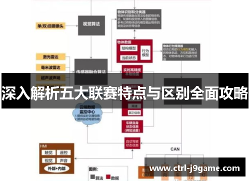 深入解析五大联赛特点与区别全面攻略 深入解析五大联赛特点与区别全面攻略