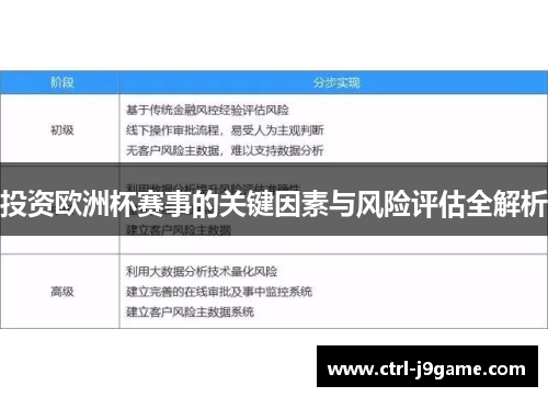 投资欧洲杯赛事的关键因素与风险评估全解析 投资欧洲杯赛事的关键因素与风险评估全解析